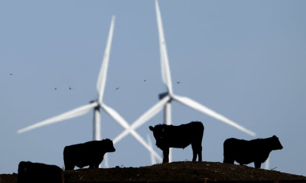 Skot pasoucí se na pastvině, na pozadí větrné elektrárny, které jsou součástí 155 turbín Smoky Hill Wind Farm, poblíž Vesper, Kan. Fotografie: Charlie Riedel/AP