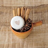 Ponio Orient chai - šampúch proti lupinám