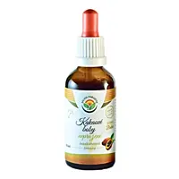 Salvia Paradise – Kakaové boby tinktura bez alkoholu, 50 ml