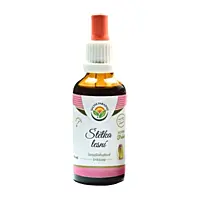 Salvia Paradise Štetka lesná tinktúra bez alkoholu, 50 ml