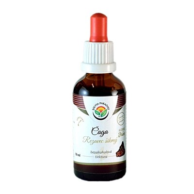 Salvia Paradise – Chaga (Rezavec šikmý) tinktura bez alkoholu, 50 ml 