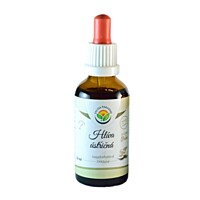 Salvia Paradise – Hliva ustricová, tinktúra bez alkoholu, 50 ml