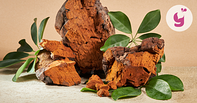 Čaga sibírska a jej neprehliadnuteľné účinky na zdravie