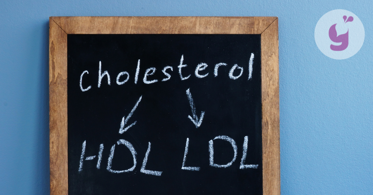 Co je cholesterol a jaká je jeho zdravá hladina v krvi? + Rozdíly mezi LDL a HDL cholesterolem