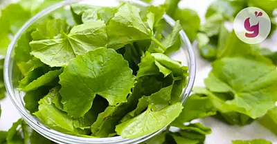 Gotu kola: jaké účinky má tato bylinka? A jsou i nežádoucí?