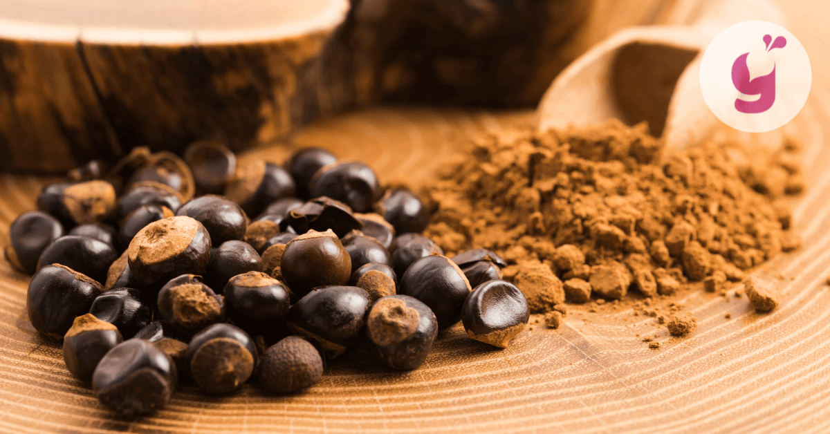 Pomocník na energiu, výkon aj sústredenie: spoznajte guaranu a jej účinky