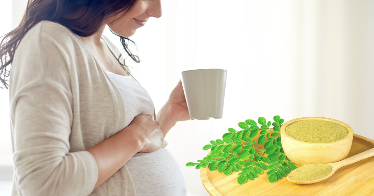 Moringa a její užívání v těhotenství: vše, co potřebujete vědět