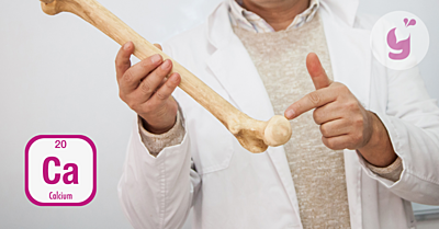 Vápnik/calcium a jeho hlavné účinky na zdravie