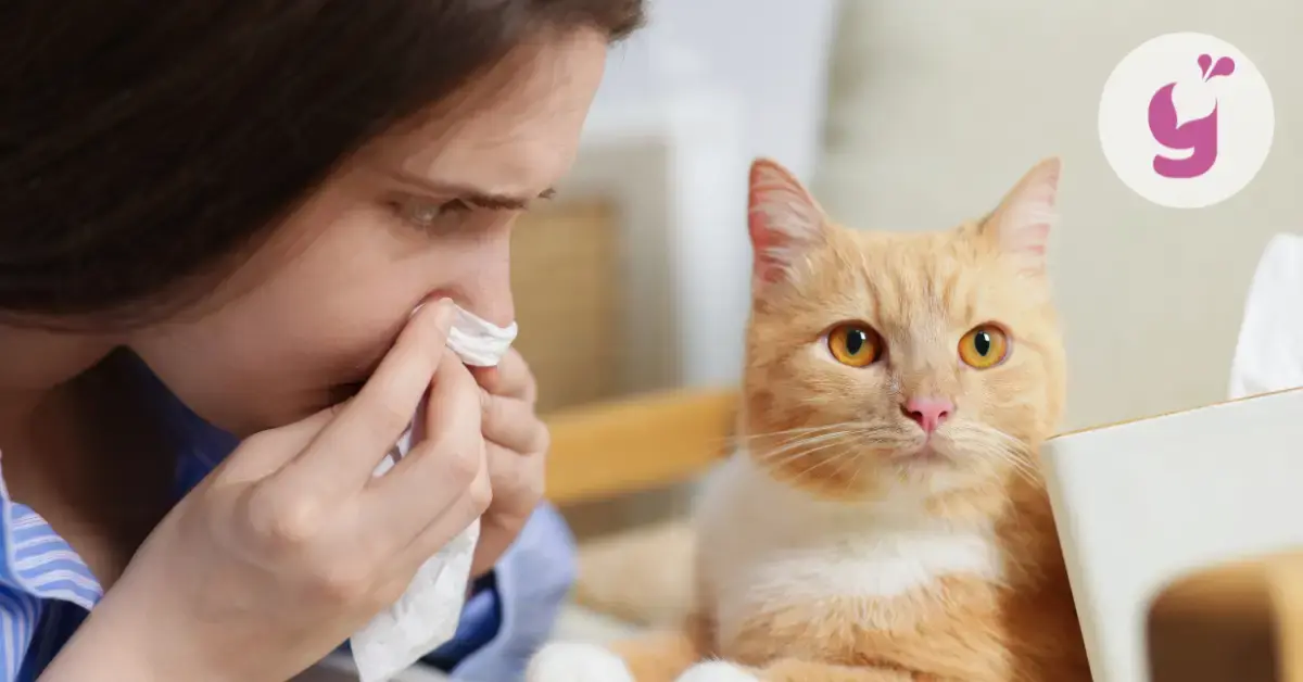 10 príznakov alergickej nádchy + ako dlho trvá a čo je na ňu dobré?