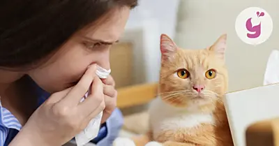 Alergická nádcha: príznaky, ako dlho trvá a čo pomáha?