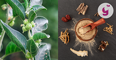 Ashwagandha – pre jej účinky si ju zamilujete