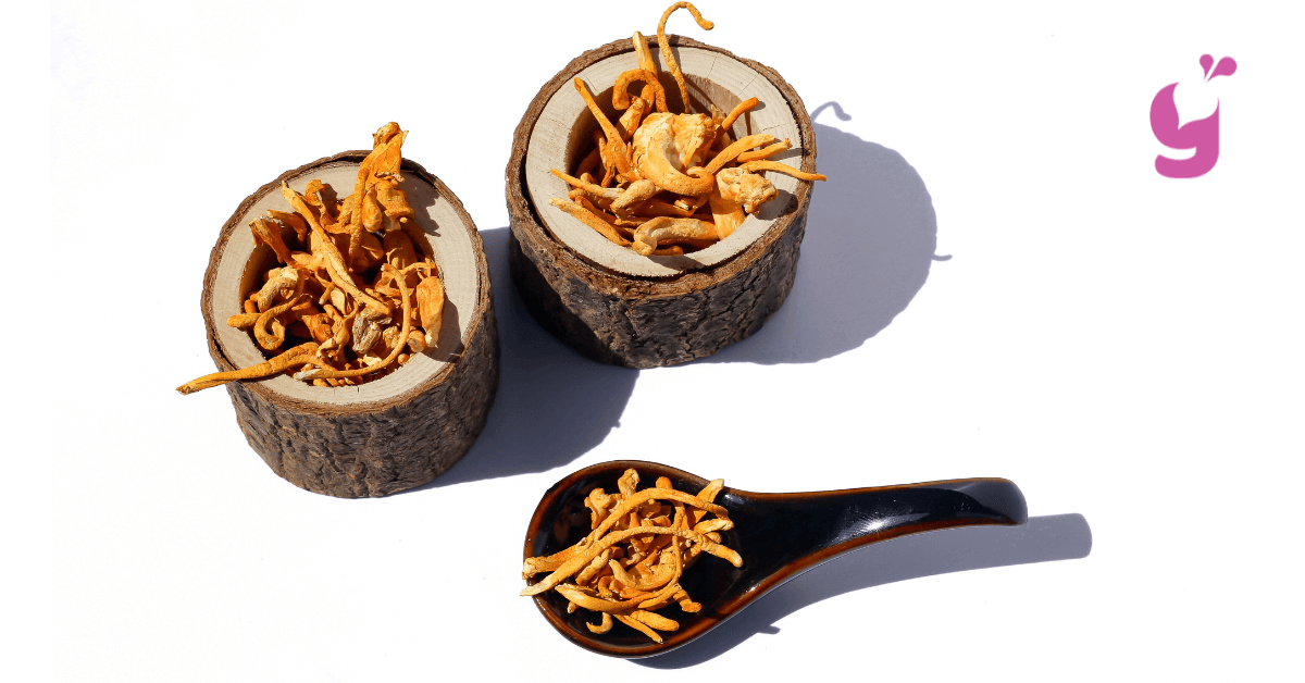 Sprievodca užívaním a dávkovaním cordycepsu – takto dosiahnete najlepšie výsledky 