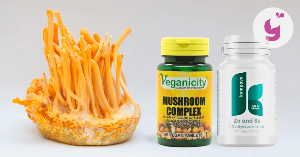 Najlepší cordyceps pre najlepšiu skúsenosť? Takto ho vyberiete + recenzie na produkty