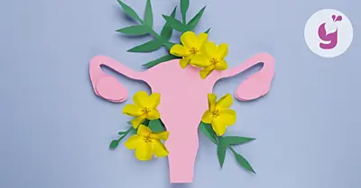 Kotvičník (tribulus) a jeho účinky na ženy: čo dokáže?
