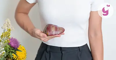 Najlepšie bylinky na pečeň: týchto 11 je TOP. Poznáte ich?